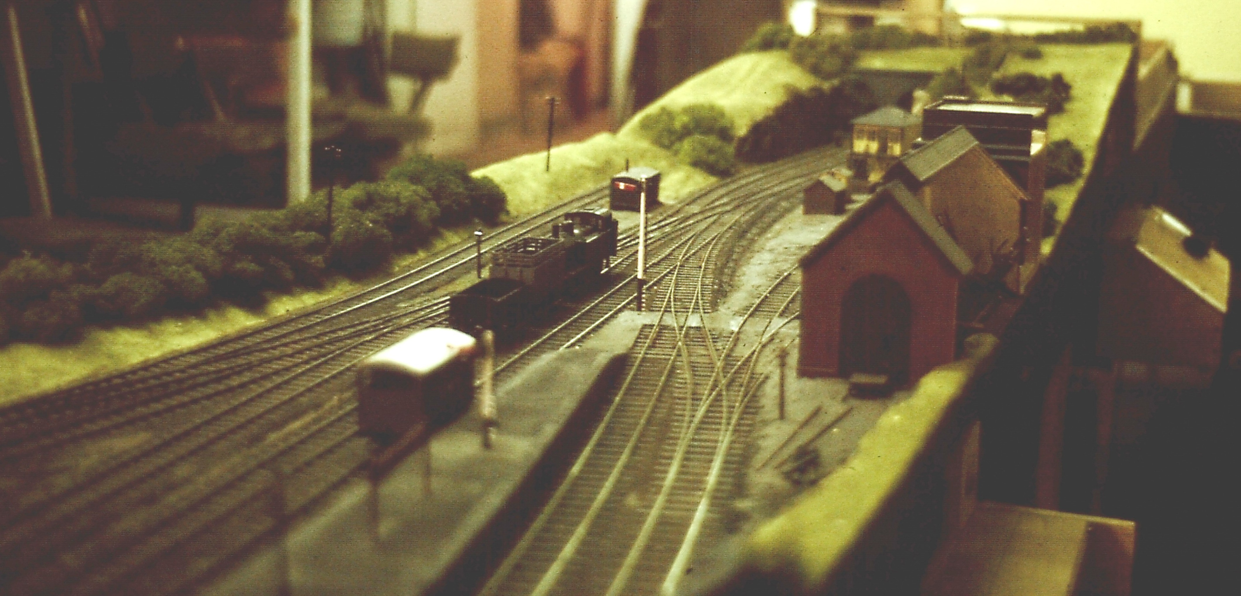 sherdington7